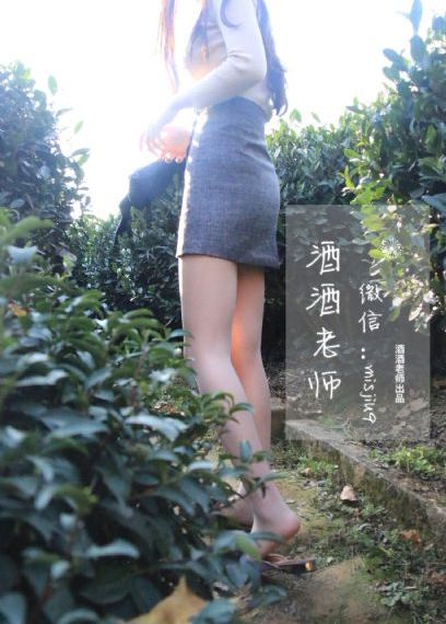陈情令电视剧全集免费观看_BD国语手机免费观看完整