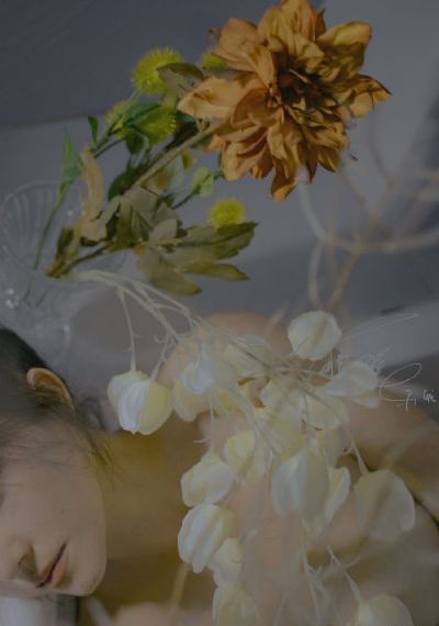 午夜手机看片_BD英语BD在线观看
