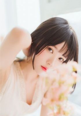 东方侠客电视剧免费观看全集_HD免费电视剧